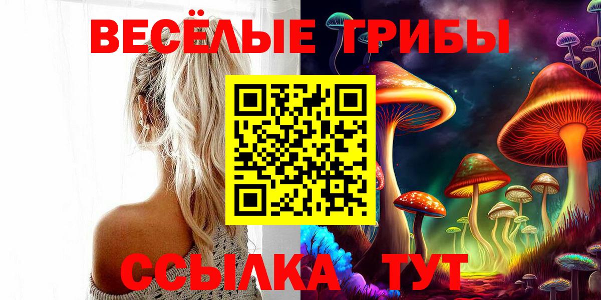 Псилоцибиновые грибы ЛСД Волжский