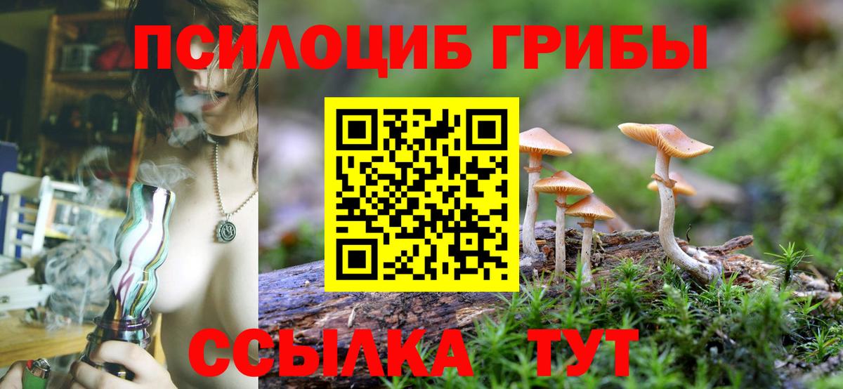 Псилоцибиновые грибы прущие грибы  где купить наркотик  Волжский  Вход с VPN  Галлюциногенные грибы Magic Shrooms 